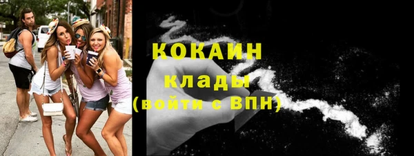 Альфа ПВП Гусев
