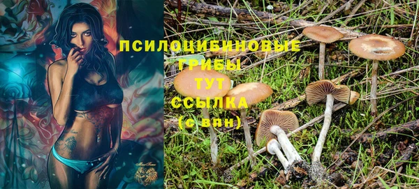 MDMA Гусиноозёрск