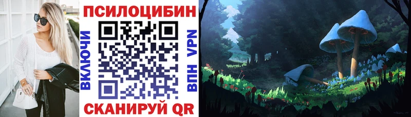 Купить где  Урень  Псилоцибиновые грибы прущие грибы 